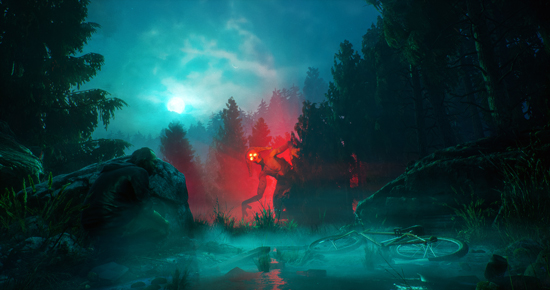 The Woods
