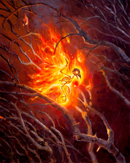 Fireseed
