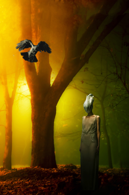 Raven and Lady